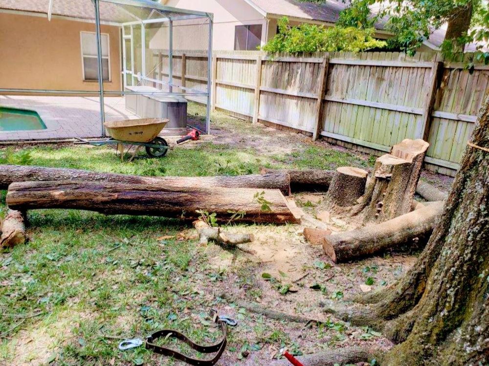 Our professional Tree Removal service offers safe and efficient removal of unwanted trees from your property, ensuring a clean and hazard-free environment while enhancing the aesthetics of your landscape. for The Third Day Land Management Company  in Tampa,  FL