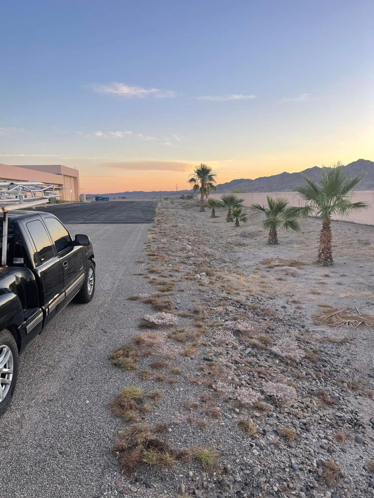 All Photos for Oliver L. Palm & Tree services in Yuma County, AZ