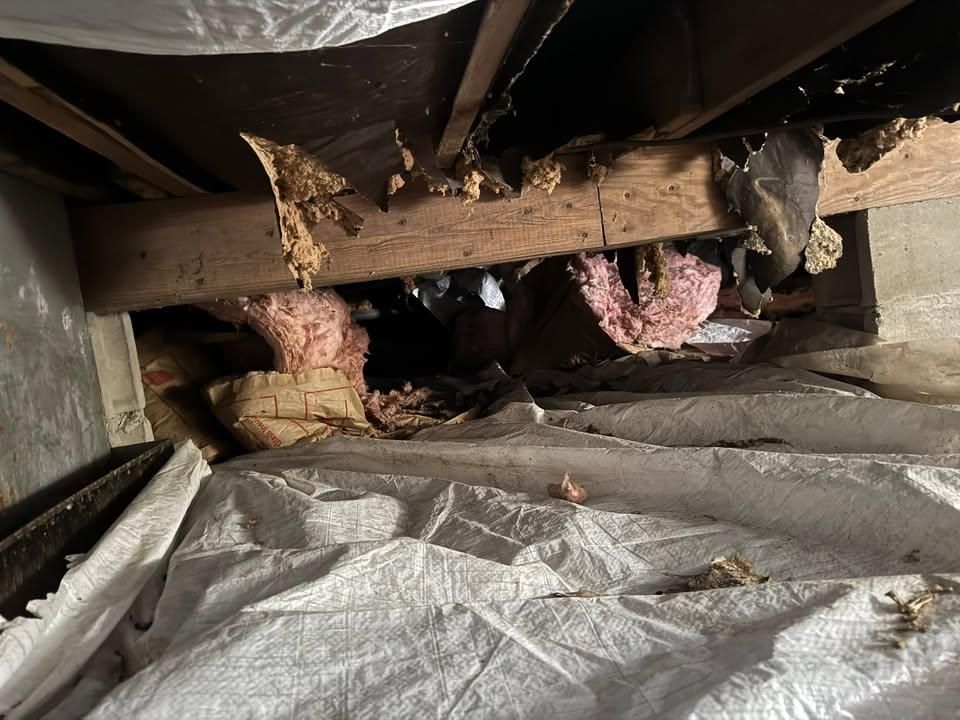 All Photos for The Guys Landscaping & Foundation Repairs LLC in Trenton, MI