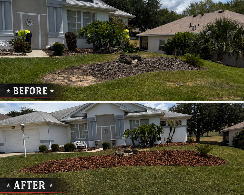 All Photos for Amerigrown Tree And Lawn in Apopka, FL