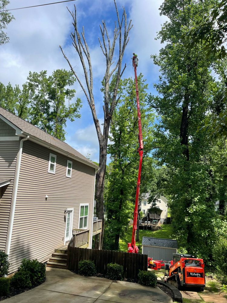 All Photos for Sasquatch Tree Services LLC in Spartanburg, SC