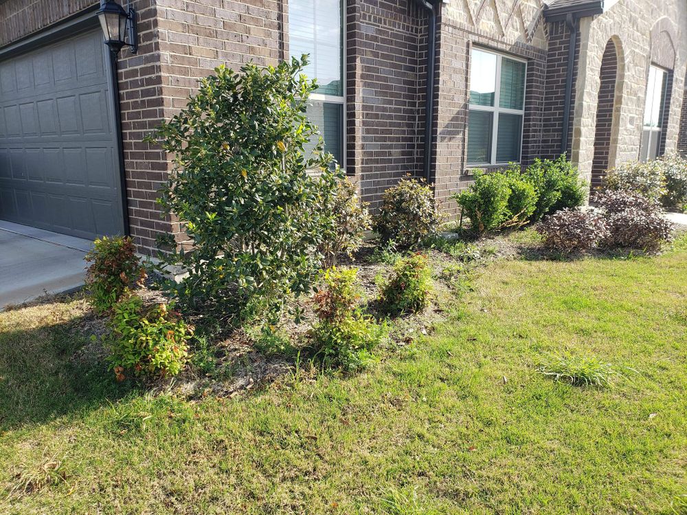 All Photos for Paquito's Landscaping in Ellis County, TX