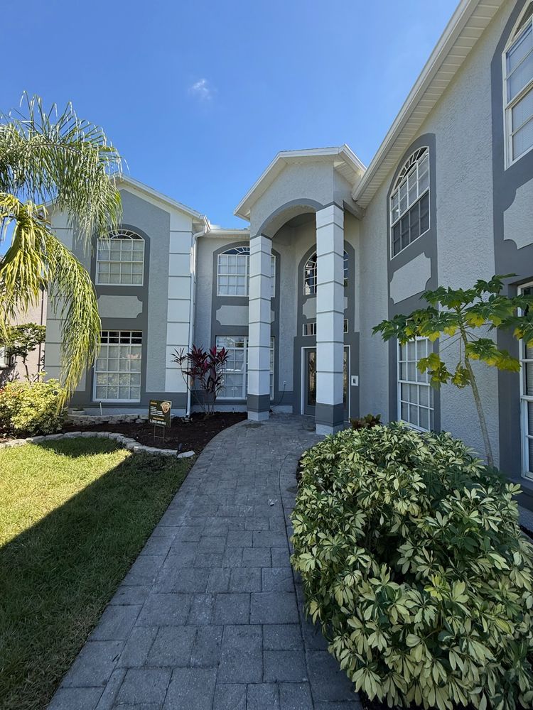 All Photos for Escorpio Painting in Tampa, FL