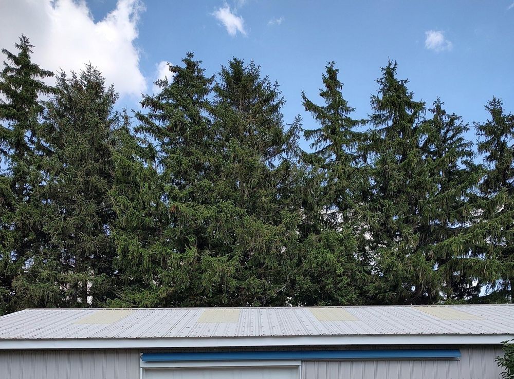 All Photos for MMN Cleaning PressureWashing & Gutter Cleaning LLC in Medina, New York