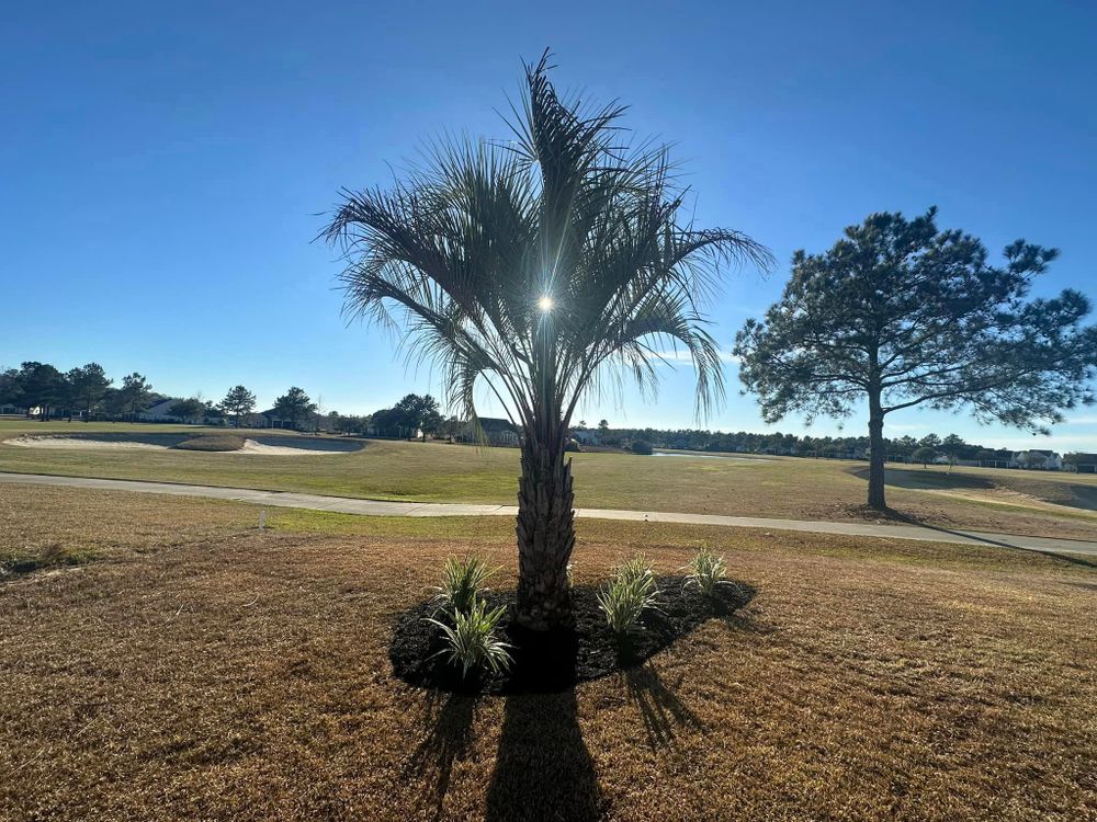 Landscaping for George’s Hardscape  in Bluffton, SC