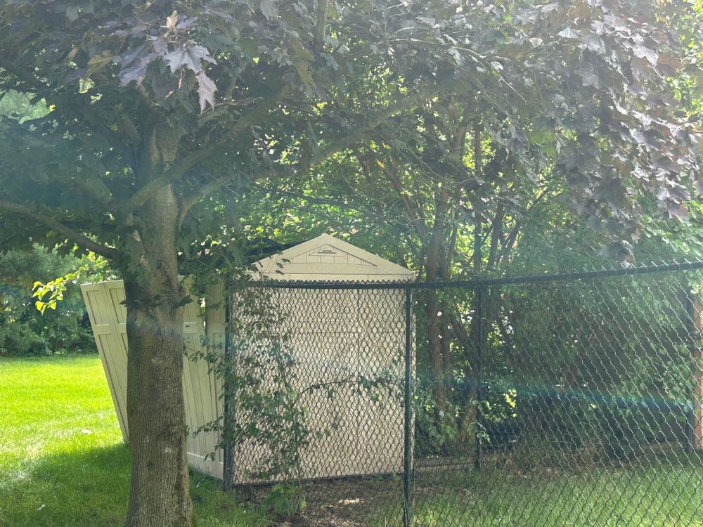 All Photos for Bearforce Lawn Care LLC in Greenfield, IN