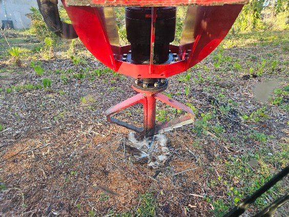 All Photos for Bay Area Bobcat in Riverview, FL