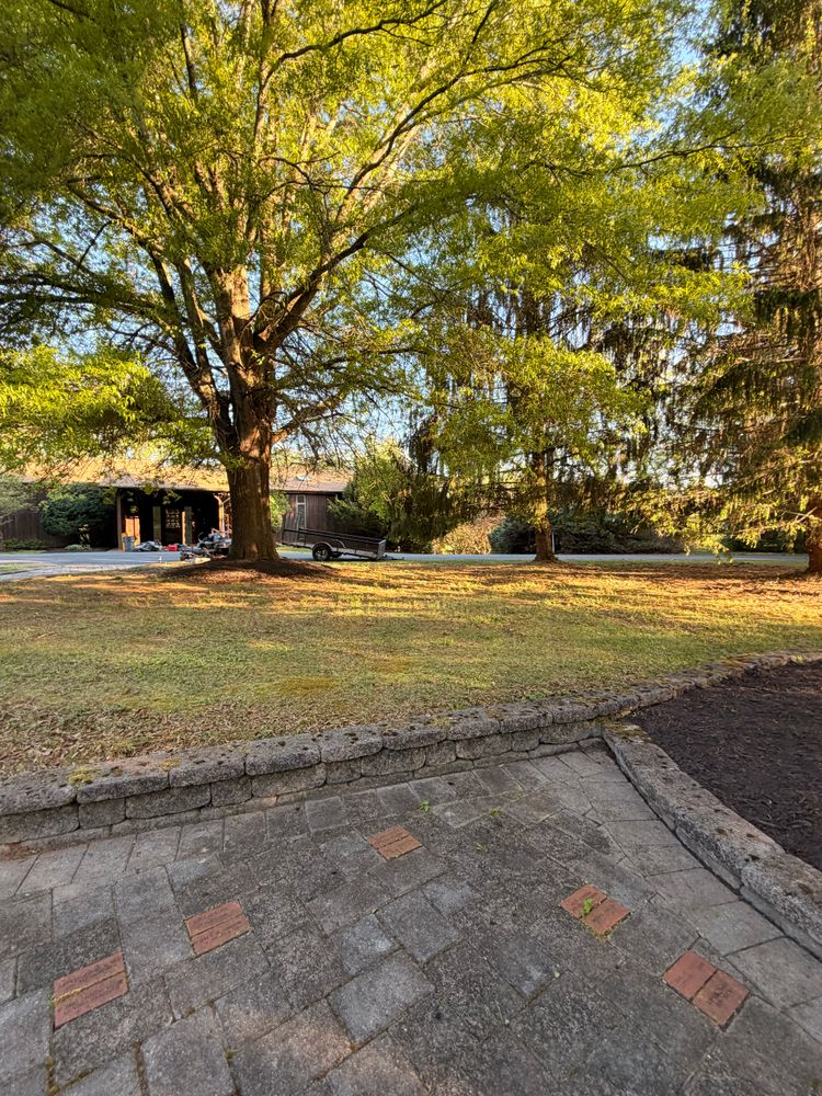 All Photos for Valencia’s Lawncare in Charlottesville, VA