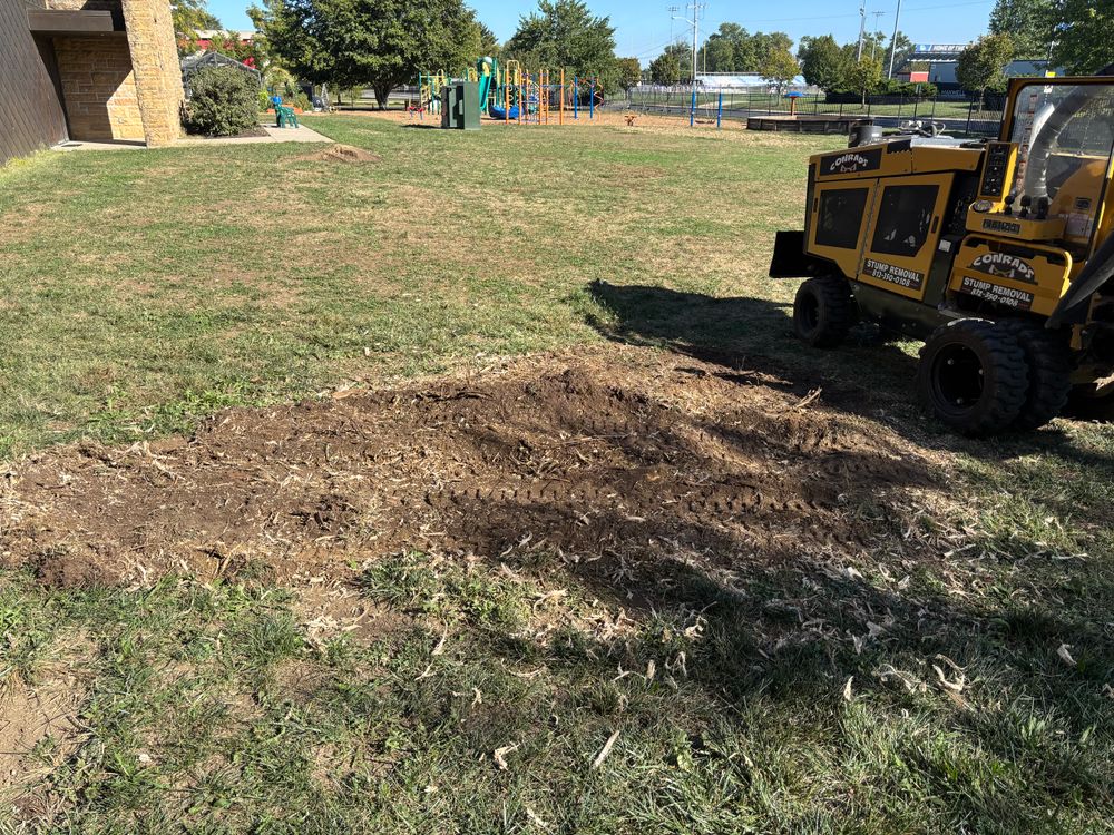 All Photos for Conrad's Stump Removal in Columbus, IN