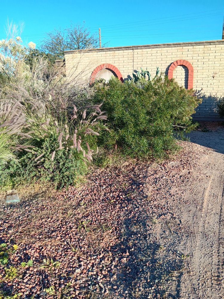 All Photos for Family Landscaping in Phoenix, AZ