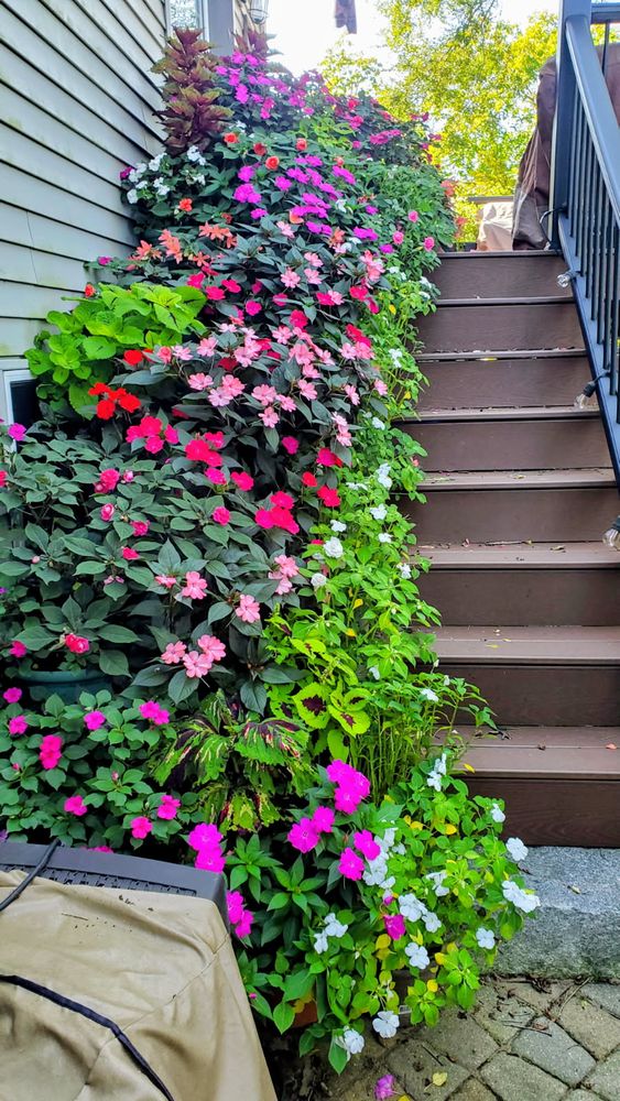 All Photos for Evolution Earthscapes, LLC in Ludlow, MA