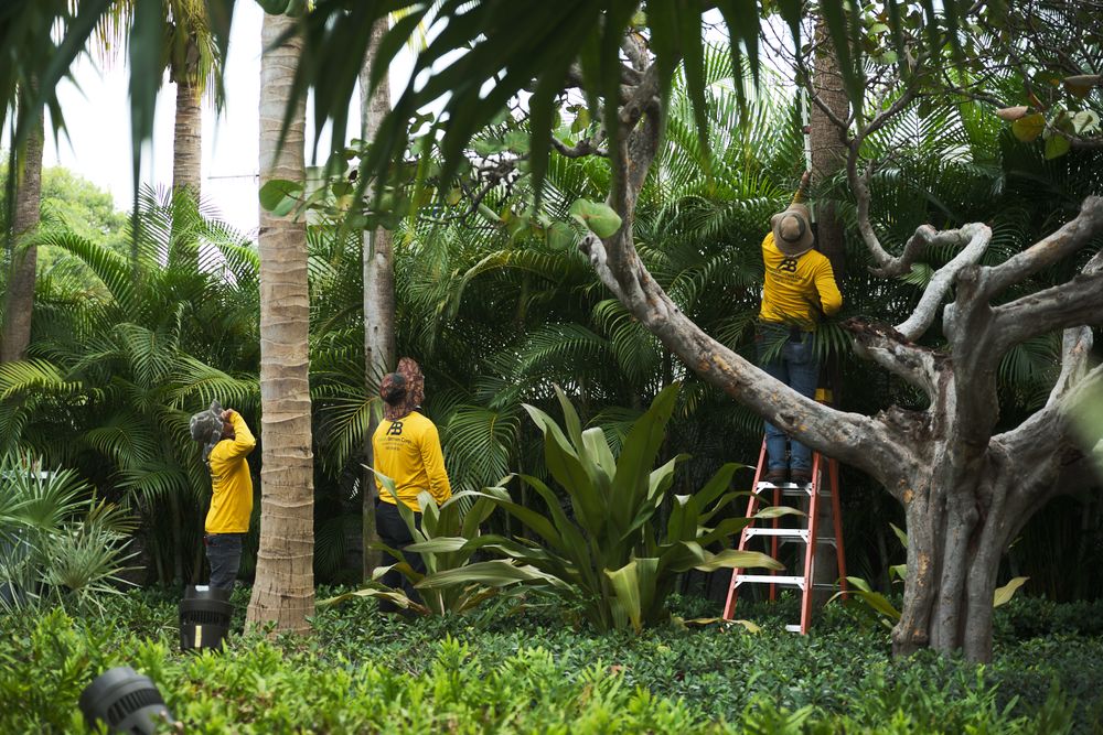 Maintenance for Arazoza Brothers Corporation in Miami, FL