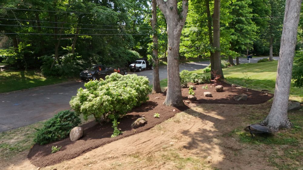 Landscape & Bed Design for Ace Landscaping in Trumbull, CT