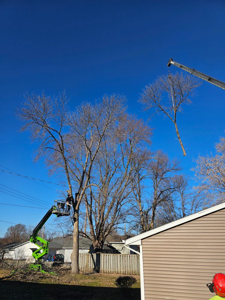 All Photos for Down To Earth Tree Service in Red Wing,  Minnesota