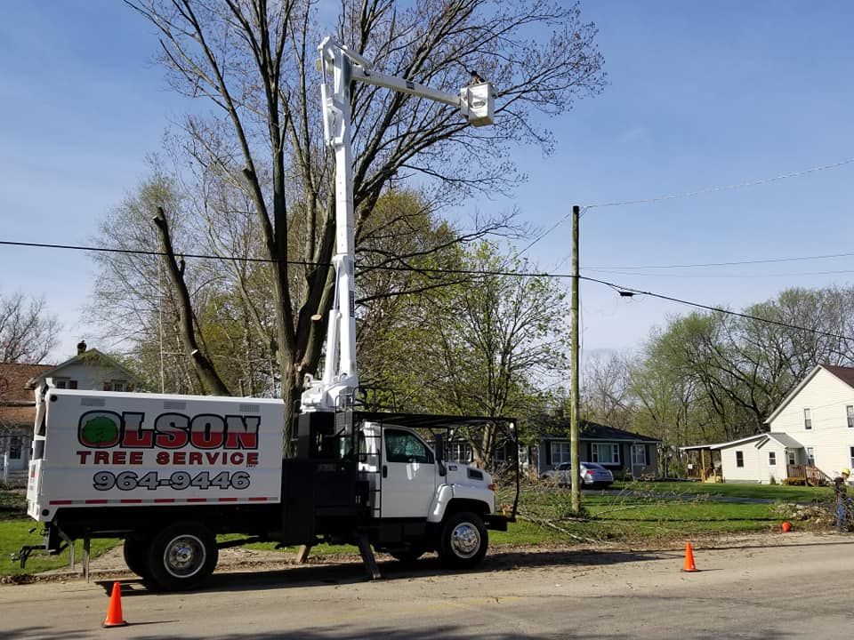 Tree Removal for Olson Tree Service, Inc in Winnebago County, IL