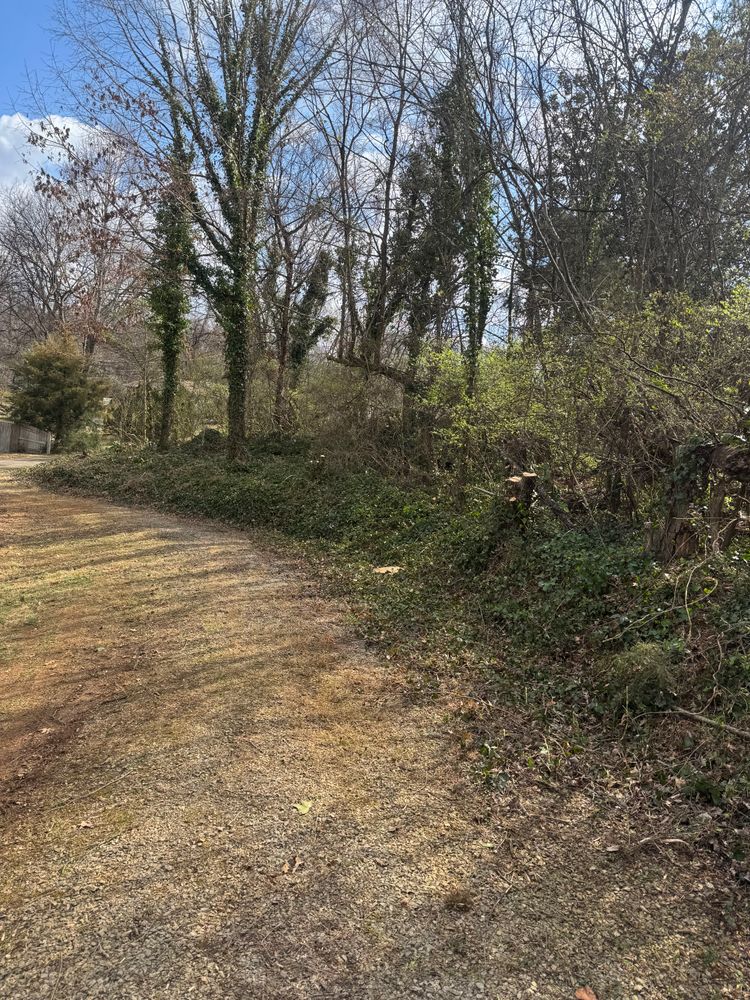 Lawn care and Landscaping for R&M Property Maintenance in White Pine, TN