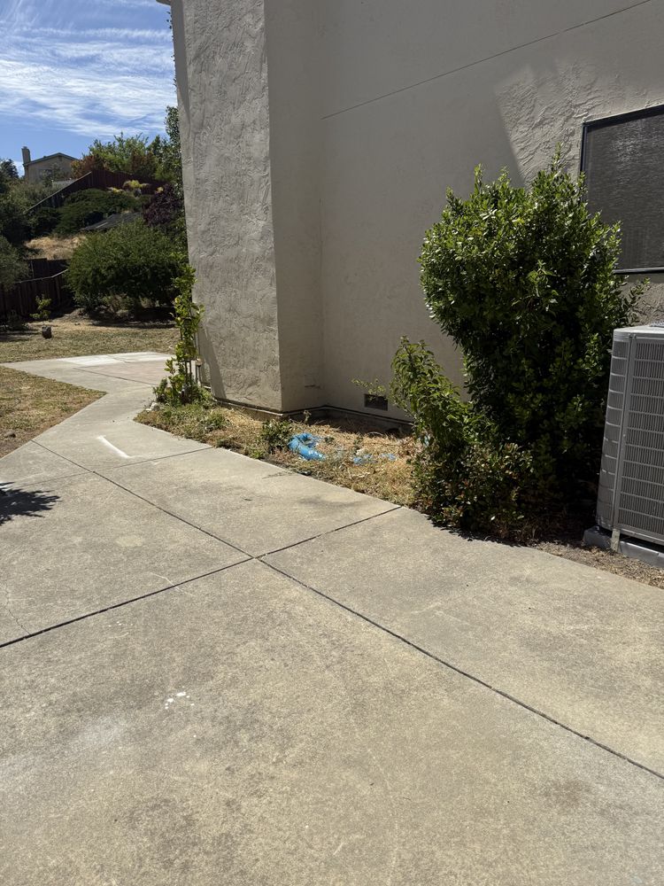All Photos for CBA Landscaping in Hayward, CA