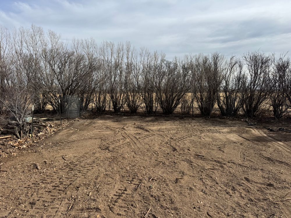 All Photos for Rock Masters Inc. in Evans, CO