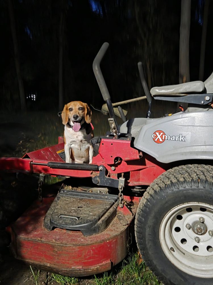All Photos for Howell Hardscape Inc in Brighton, MI