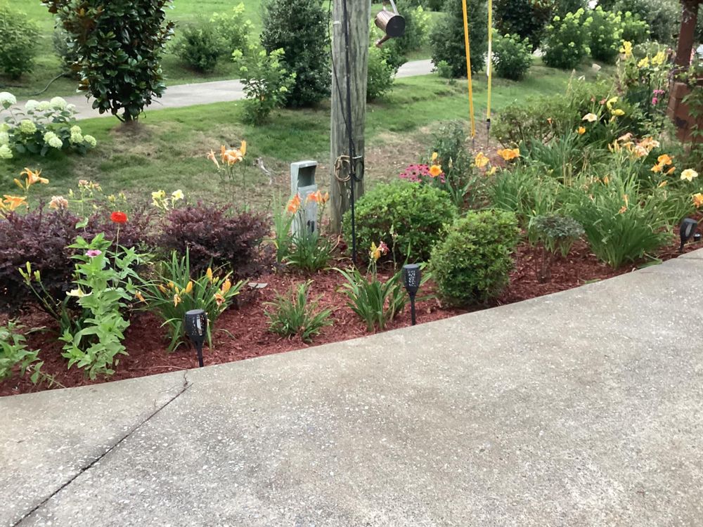 All Photos for Xtreme Landscaping & Lawn Care in Lincoln, AL