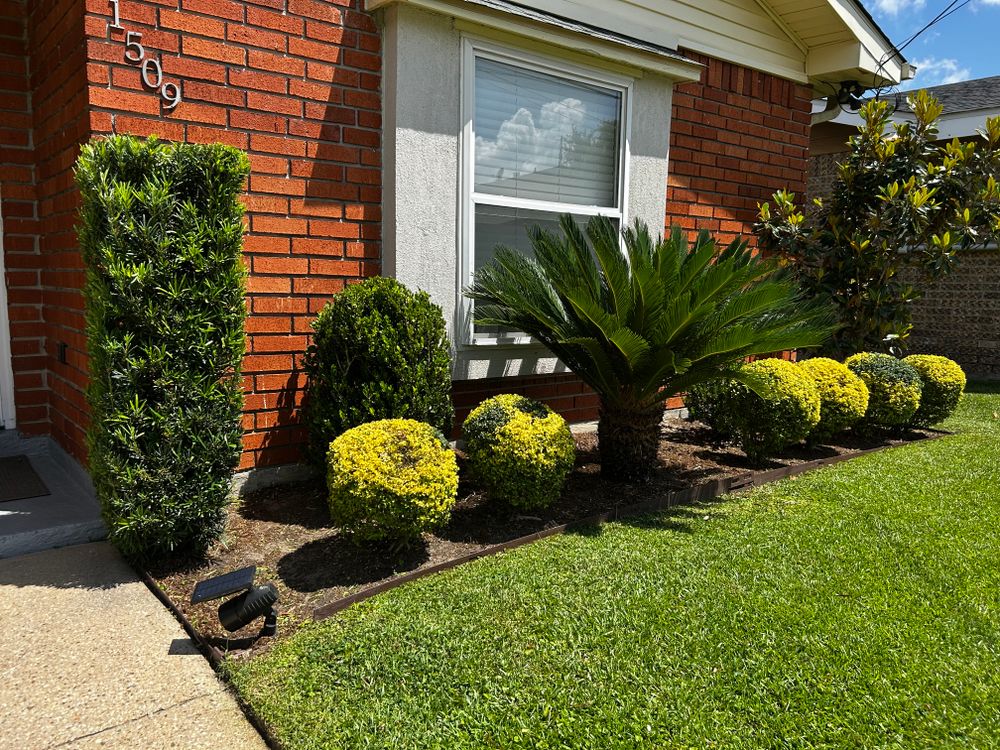 All Photos for Jay C’s Touch Landscaping & Pressure Washing Services LLC in Marrero, LA