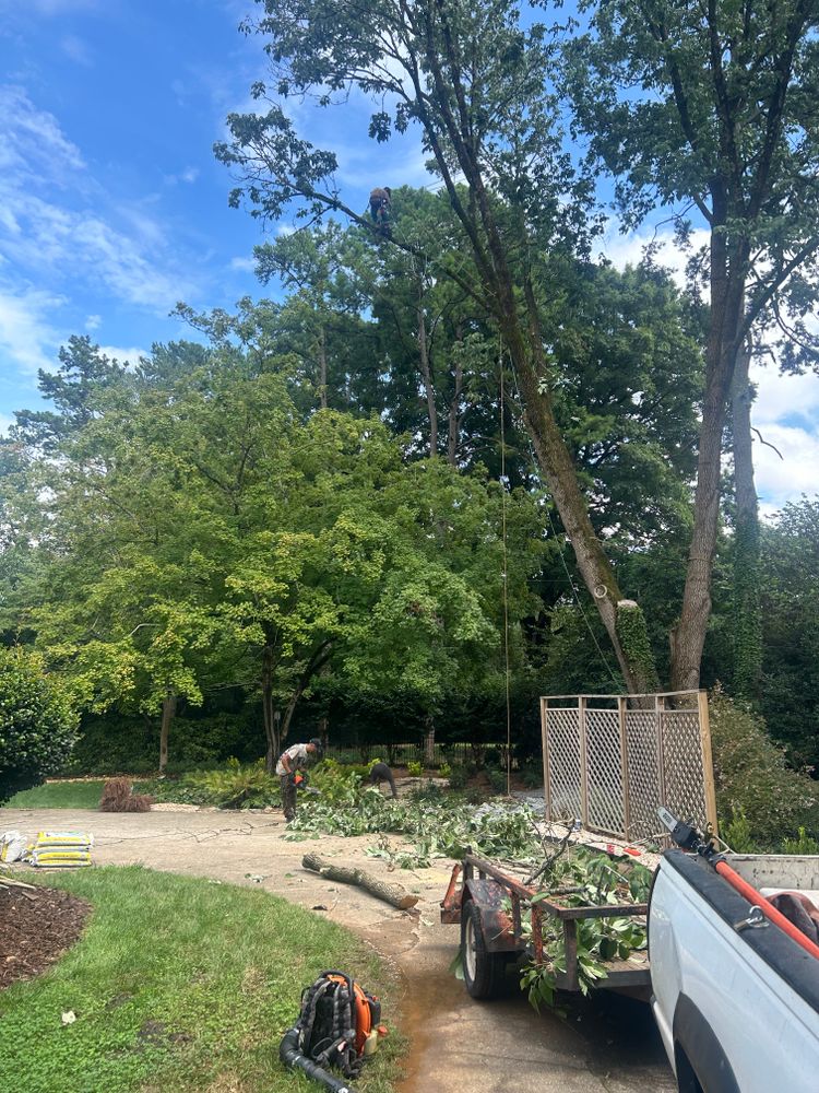 All Photos for Oakhurst Landscaping and Tree Service in Charlotte, NC