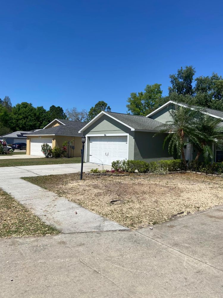 Fall and Spring Clean Up for Efficient and Reliable Tree Service in Lake Wales, FL