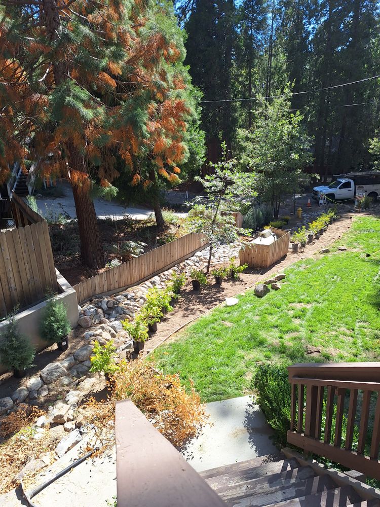 All Photos for Best Lawncare in Colton, CA