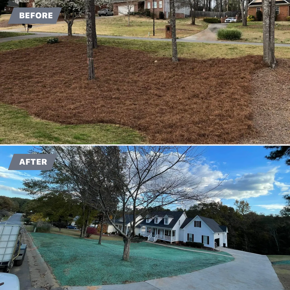 Before & After for CreekSide HydroSeeding & EarthWorks in Calhoun, GA