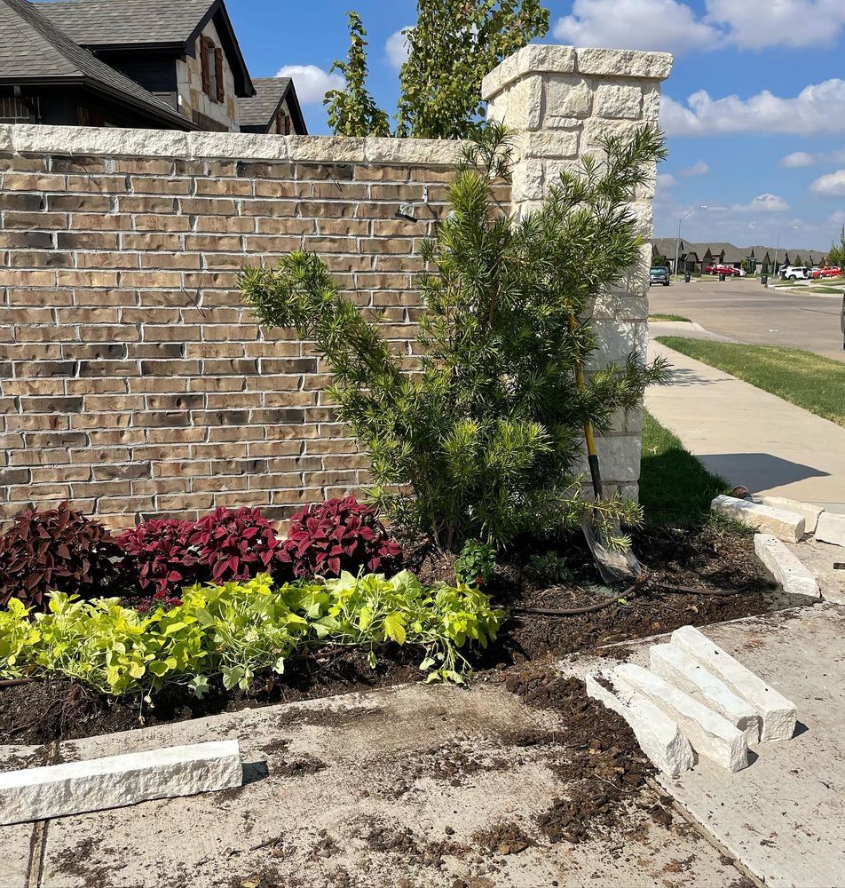 Seasonal color changes for Guerrero's Landscape in Fort Worth,  TX