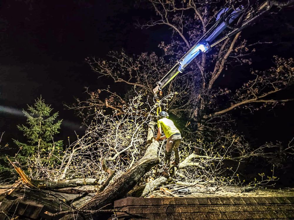 All Photos for Down To Earth Tree Service in Red Wing,  Minnesota