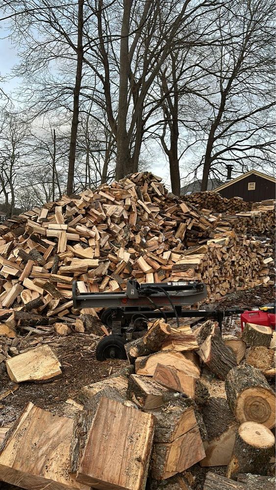 All Photos for Silver City Tree and Landscape in Taunton, MA