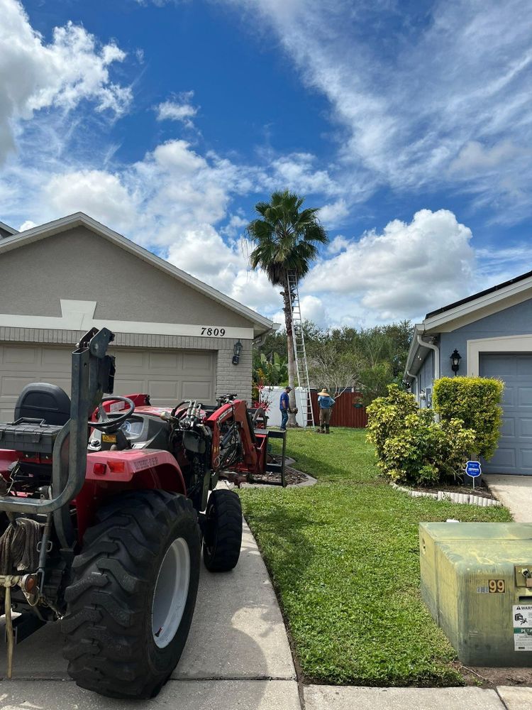 All Photos for Bills Tree Service in Valrico, FL