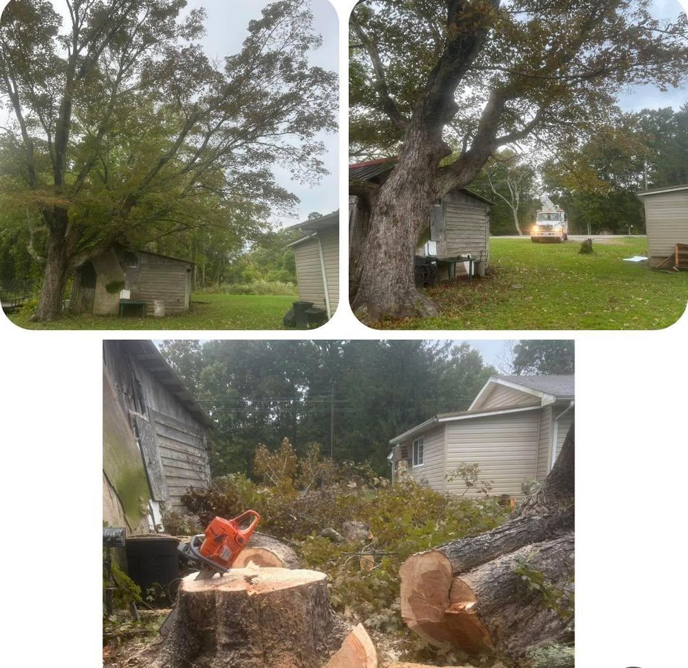 All Photos for McBee’s Tree Service in Sewanee, TN