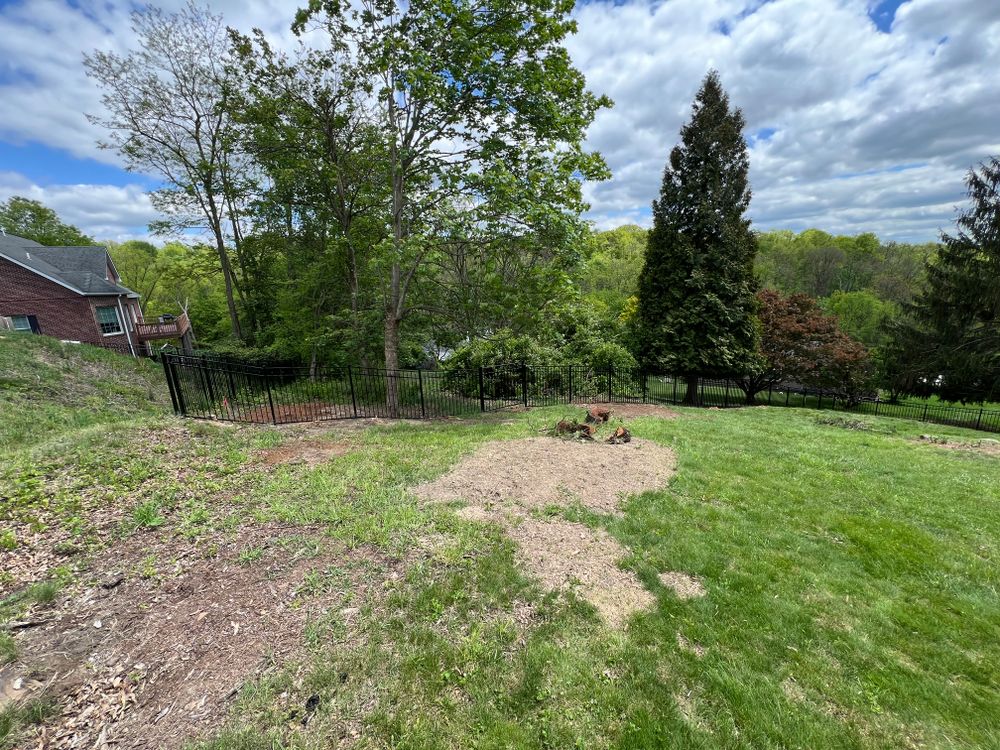 All Photos for Fratelli Contracting & More in Pittsburgh, PA