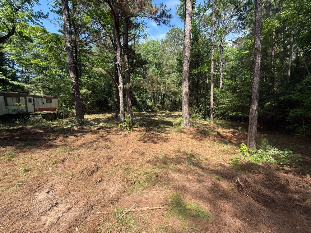 Clearing and mulching for Koelbl Site Works LLC in Fayetteville, GA