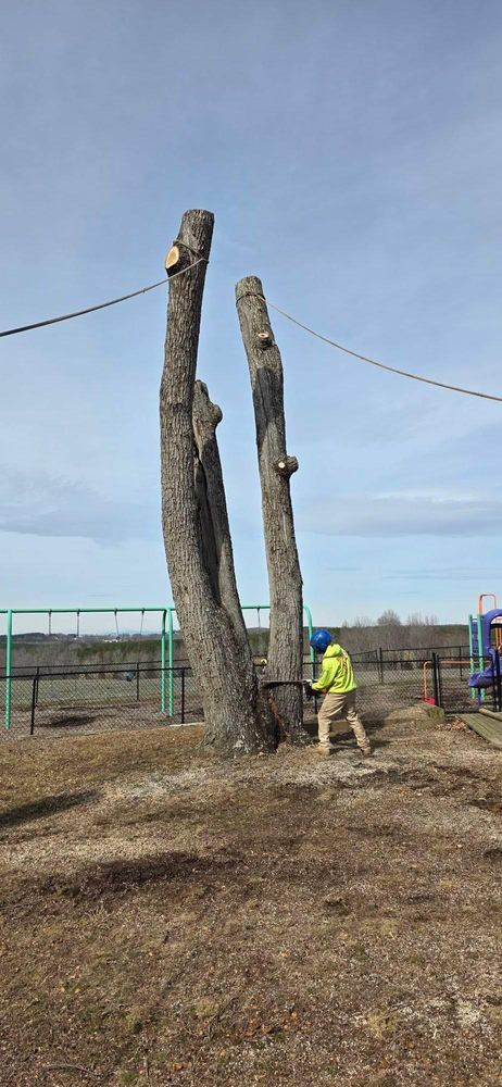 All Photos for Hamlett Tree Service LLC in Clover, VA