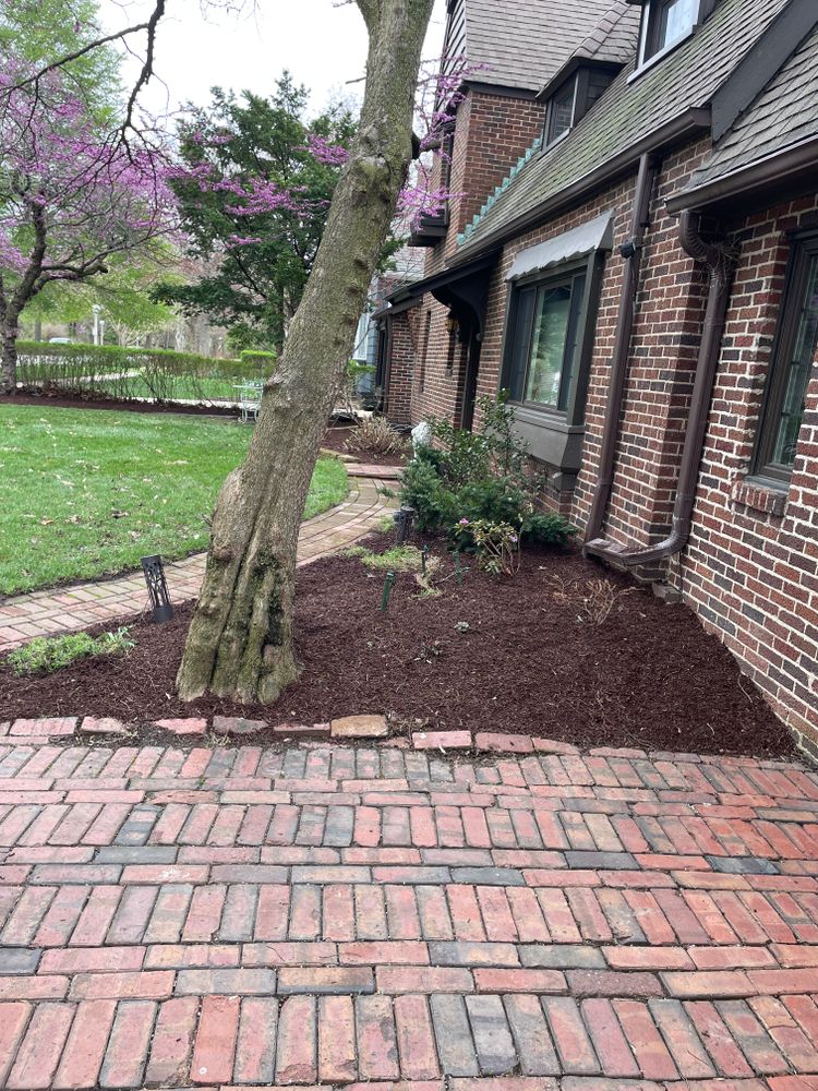 All Photos for MDR Landscaping in Urbana, IL