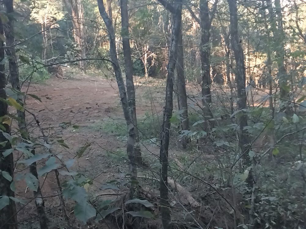 All Photos for King of Dirt in Cornersville, TN