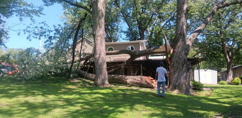 All Photos for Lawn Ranger Yard And Tree Service LLC in Ottumwa, IA