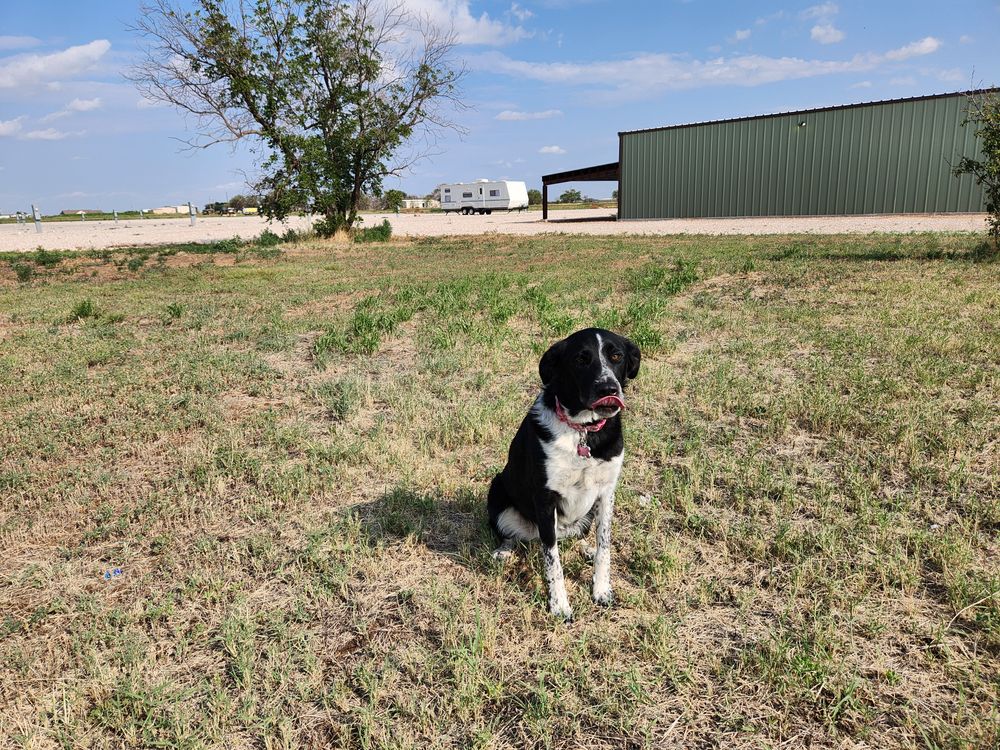 All Photos for Prairie Land Properties LLC in Lubbock, TX