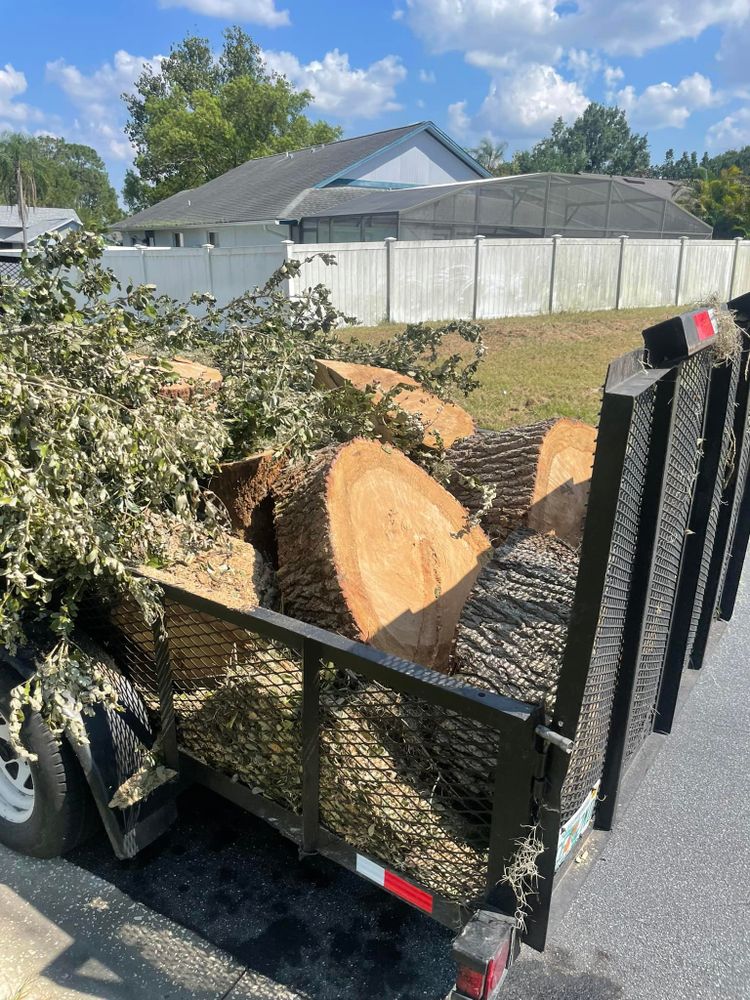 Our Tree Removal service provides safe, efficient removal of unwanted or hazardous trees, ensuring minimal disruption to your landscape. Trust our experts for a clean and professional experience every time. for The Family Tree Care Services LLC in Florida City, FL