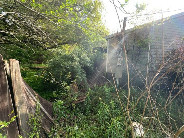 Tree Cleanup  for D&D Services of Pensacola in Pensacola, FL