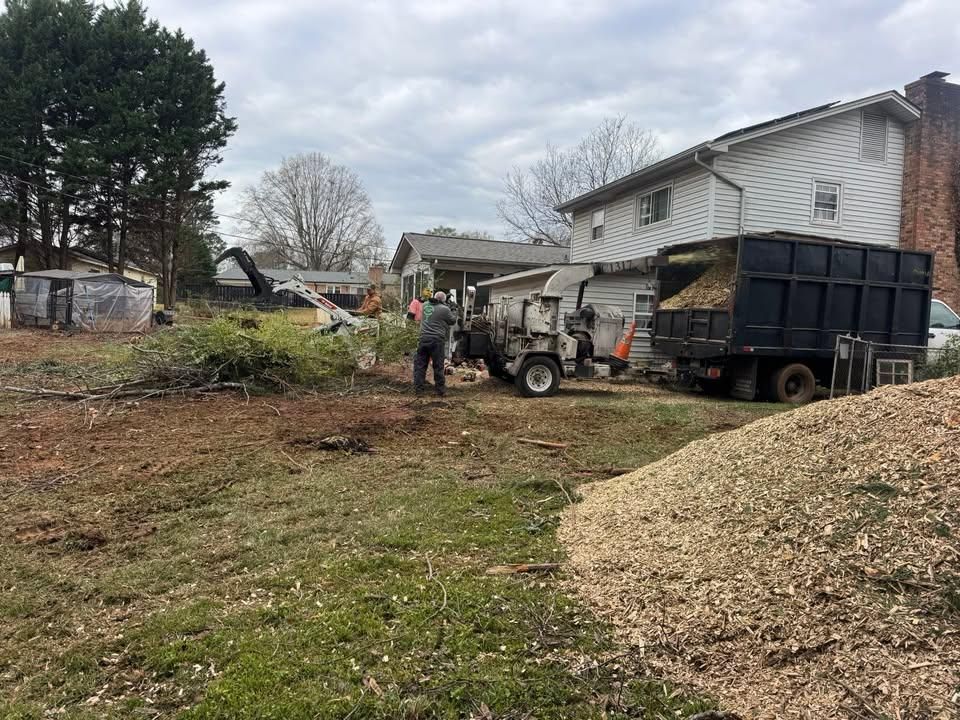 All Photos for Pedro's Tree Removal in Charlotte, NC