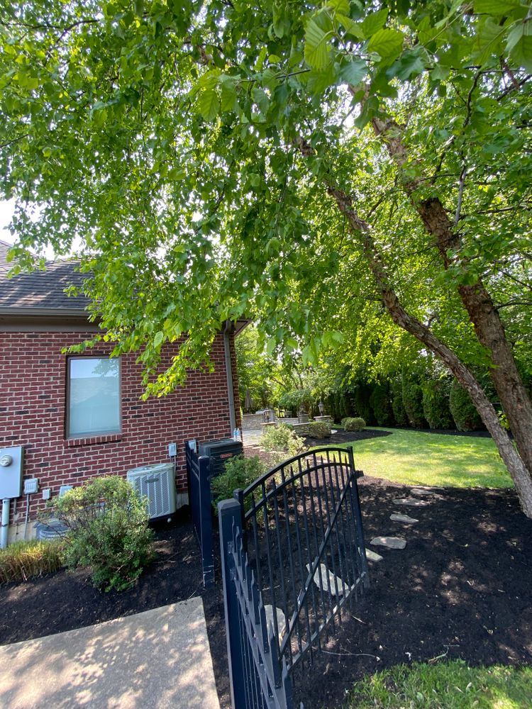 Lawn Mowing for Castle JR Landscaping & Painting LLC in Cincinnati, OH