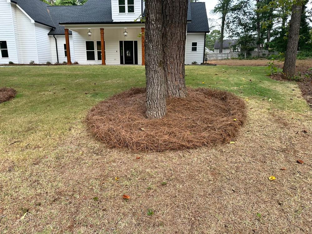 Landscaping for Worsham Landscaping and Pressure Washing LLC in Social Circle, GA