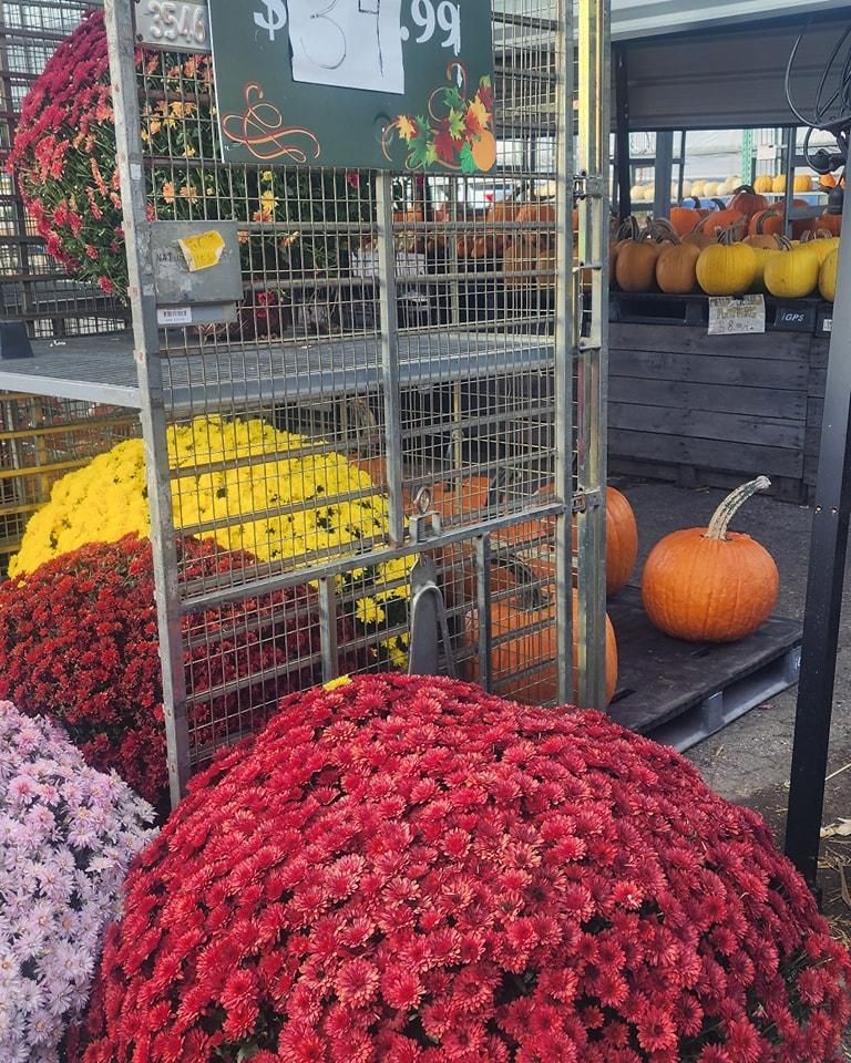 All Photos for Cut a Rug Flooring in Lake Orion, MI