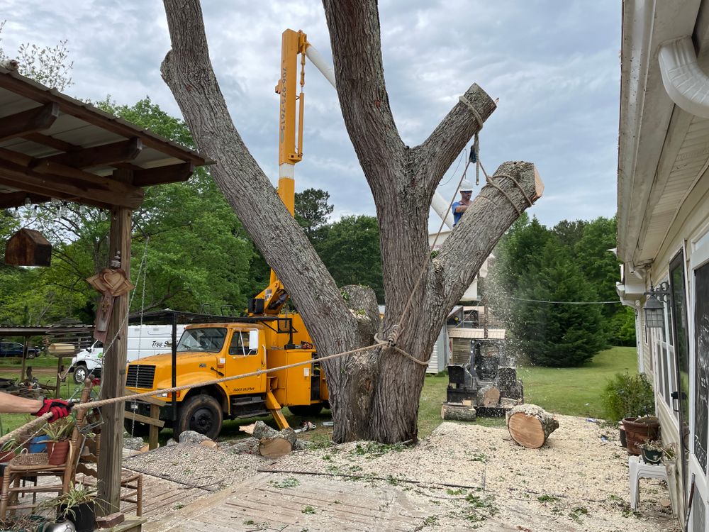 All Photos for ArborMax in Thomaston, GA