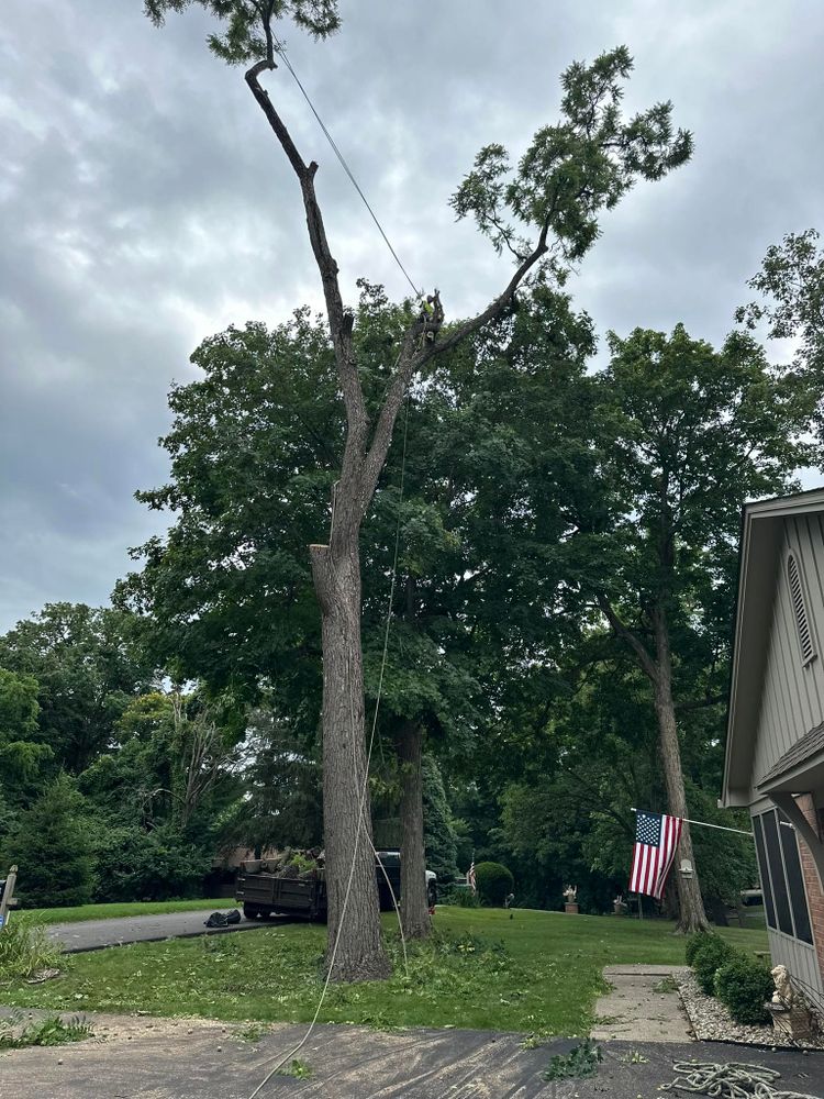 Tree Removal for General State Property Maintenance in New Haven, IN