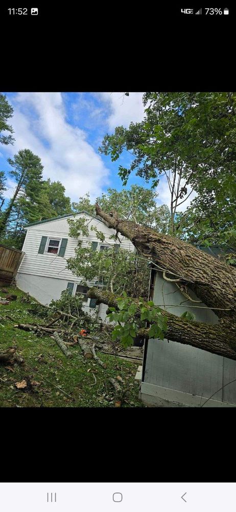 Our 24/7 storm cleanup service ensures prompt assistance for any storm damage today. Count on us to swiftly restore your property, providing reliable and efficient tree services whenever you need them. for M&L Lumber and Excavating in Jonesborough, TN